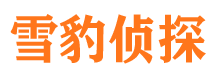 阳原找人公司